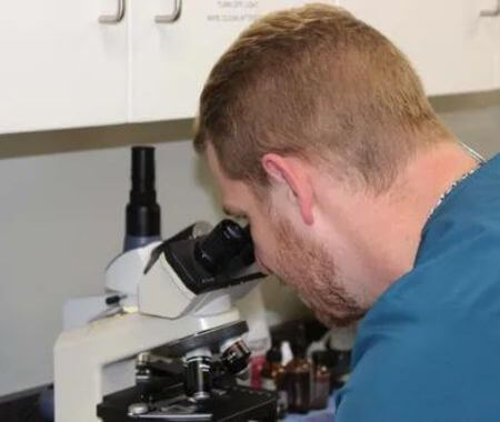 vet doing lab test