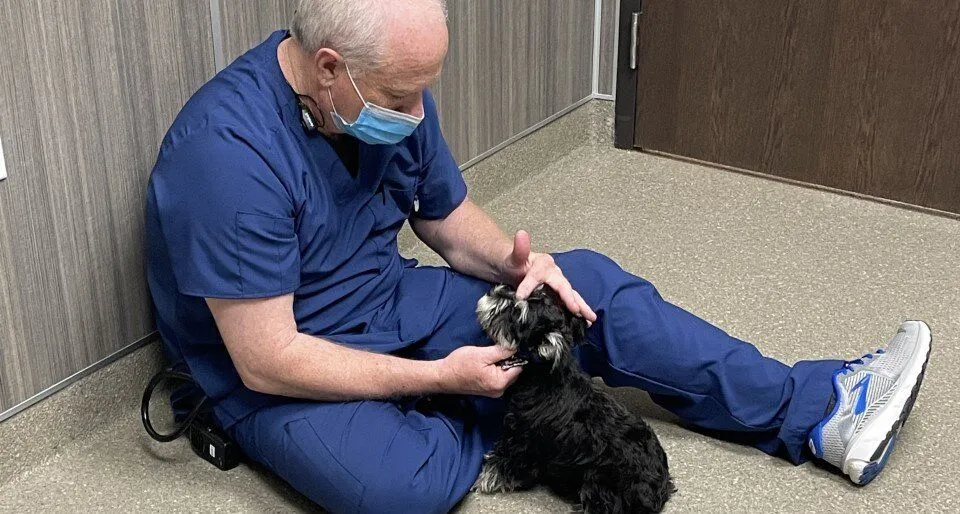 Person in blue scrubs sitting on the floor with a small black dog