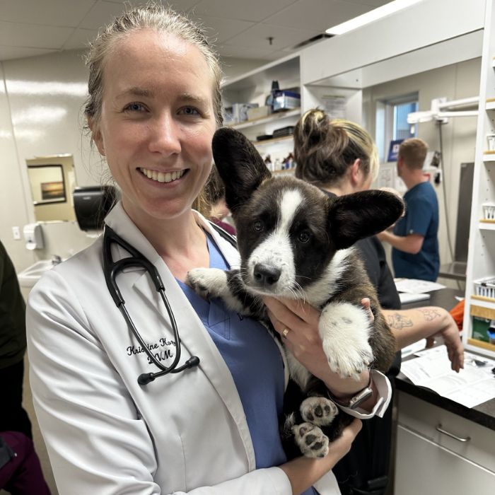 Oreo & Dr K Oreo and Dr. K