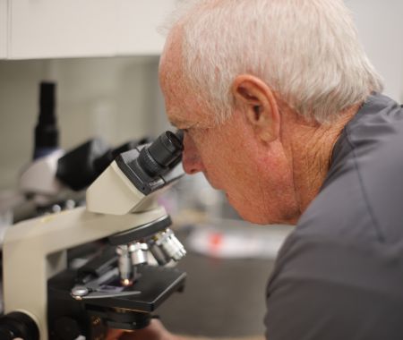 dr smith looking through microscope Dr. Smith examining sample through microscope